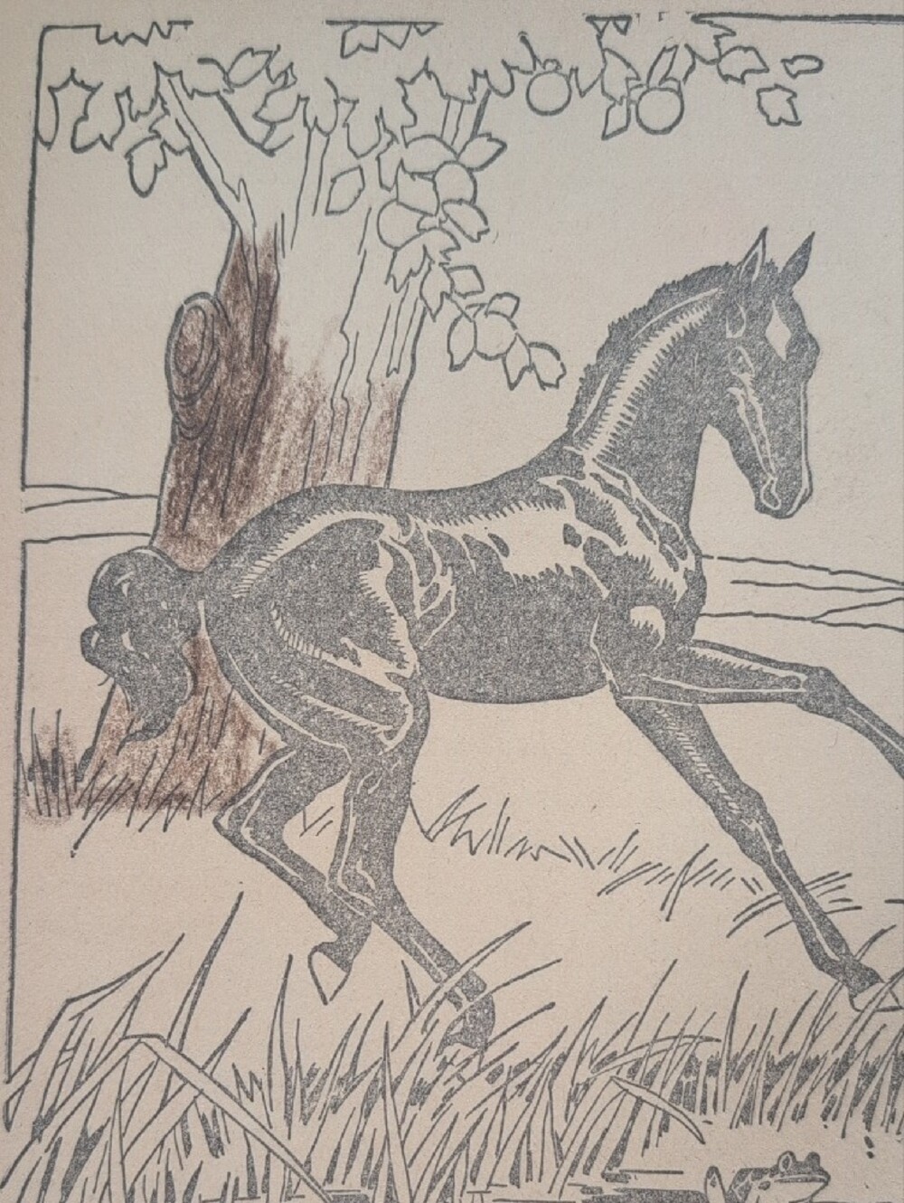 Black Beauty 1920's Vintage Antique Children Book Retro Cover Illustration Rare - Picture 5 of 14